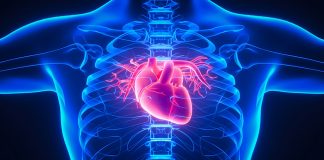 Considerando que cerca de 23% das pessoas adiaram a realização de eletrocardiograma durante a crise sanitária e que 15,5% dos pacientes hospitalizados pelo novo coronavírus possuem alguma doença cardiovascular