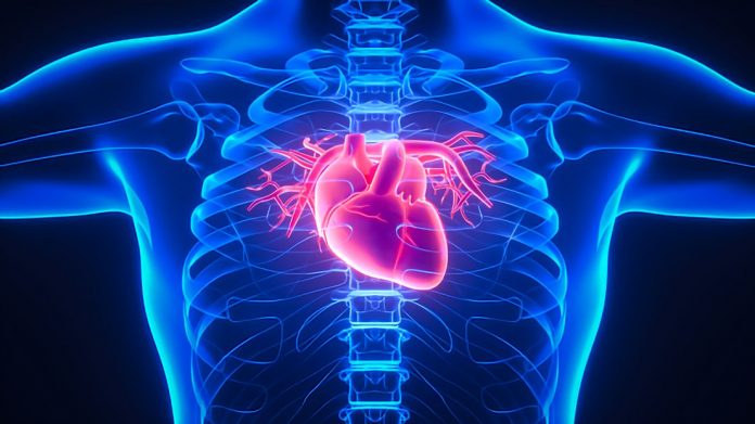 Considerando que cerca de 23% das pessoas adiaram a realização de eletrocardiograma durante a crise sanitária e que 15,5% dos pacientes hospitalizados pelo novo coronavírus possuem alguma doença cardiovascular